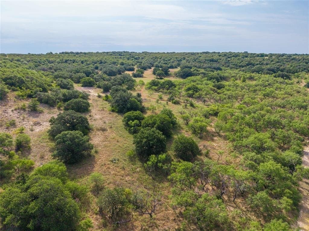 288.8 acres in Coleman County - photo 3
