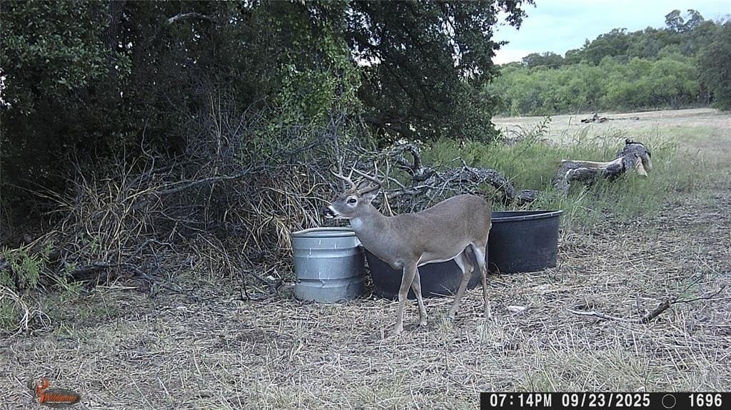 288.8 acres in Coleman County - photo 39