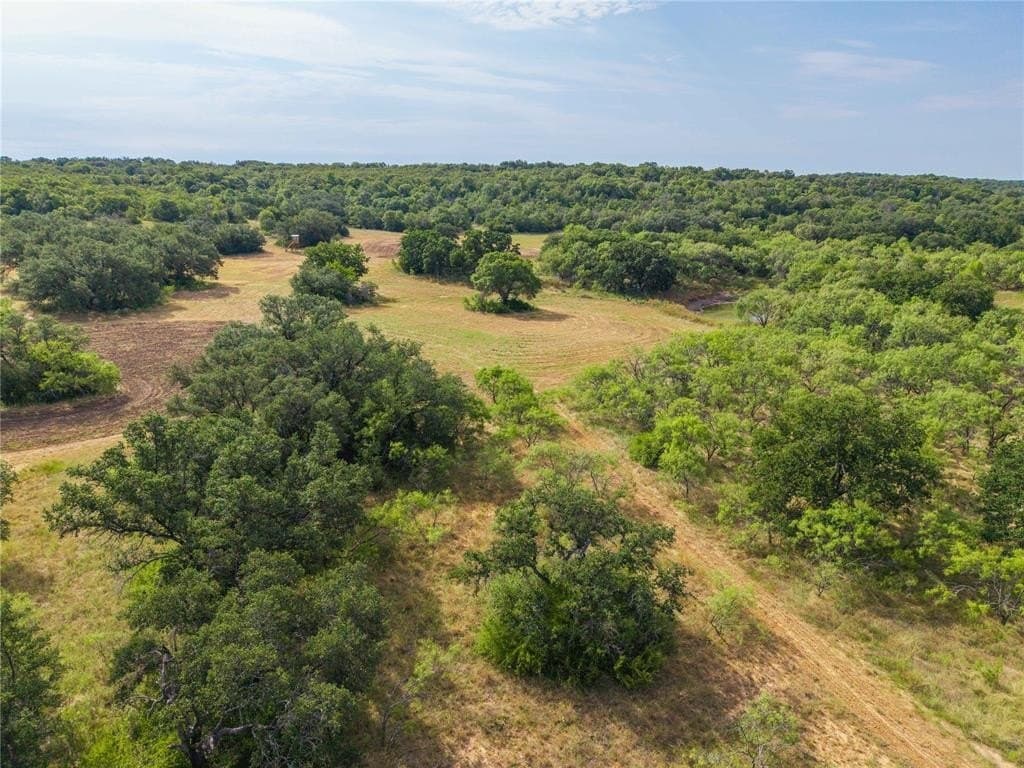288.8 acres in Coleman County - photo 4