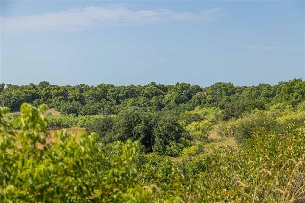 288.8 acres in Coleman County - photo 12