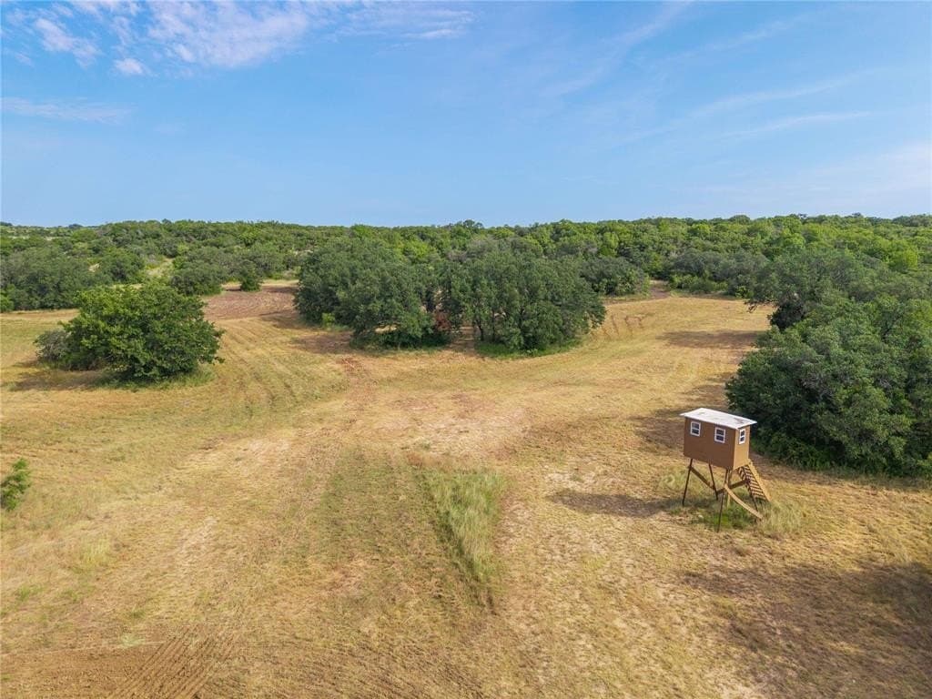 288.8 acres in Coleman County - photo 7