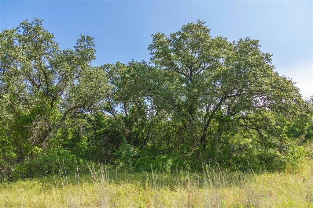 288.8 acres in Coleman County - photo 25