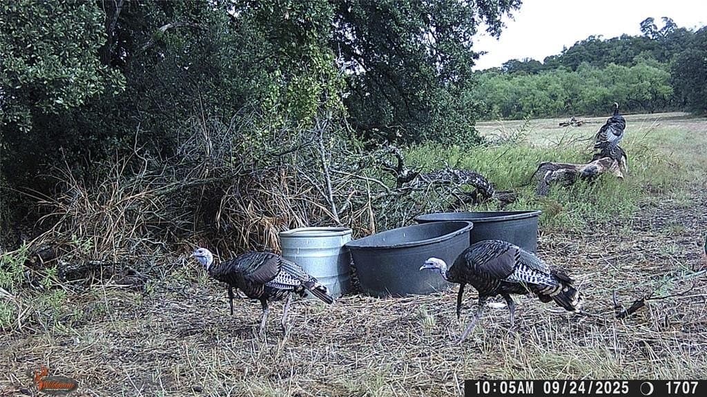 288.8 acres in Coleman County - photo 40