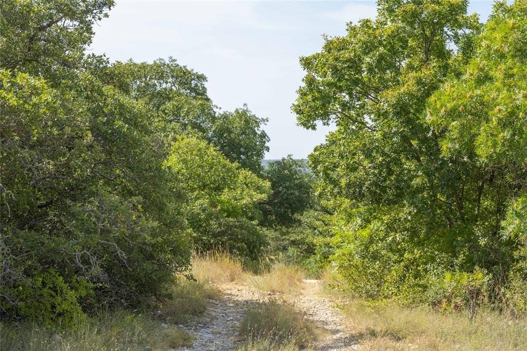 288.8 acres in Coleman County - photo 15