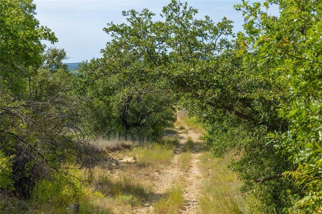 288.8 acres in Coleman County - photo 16