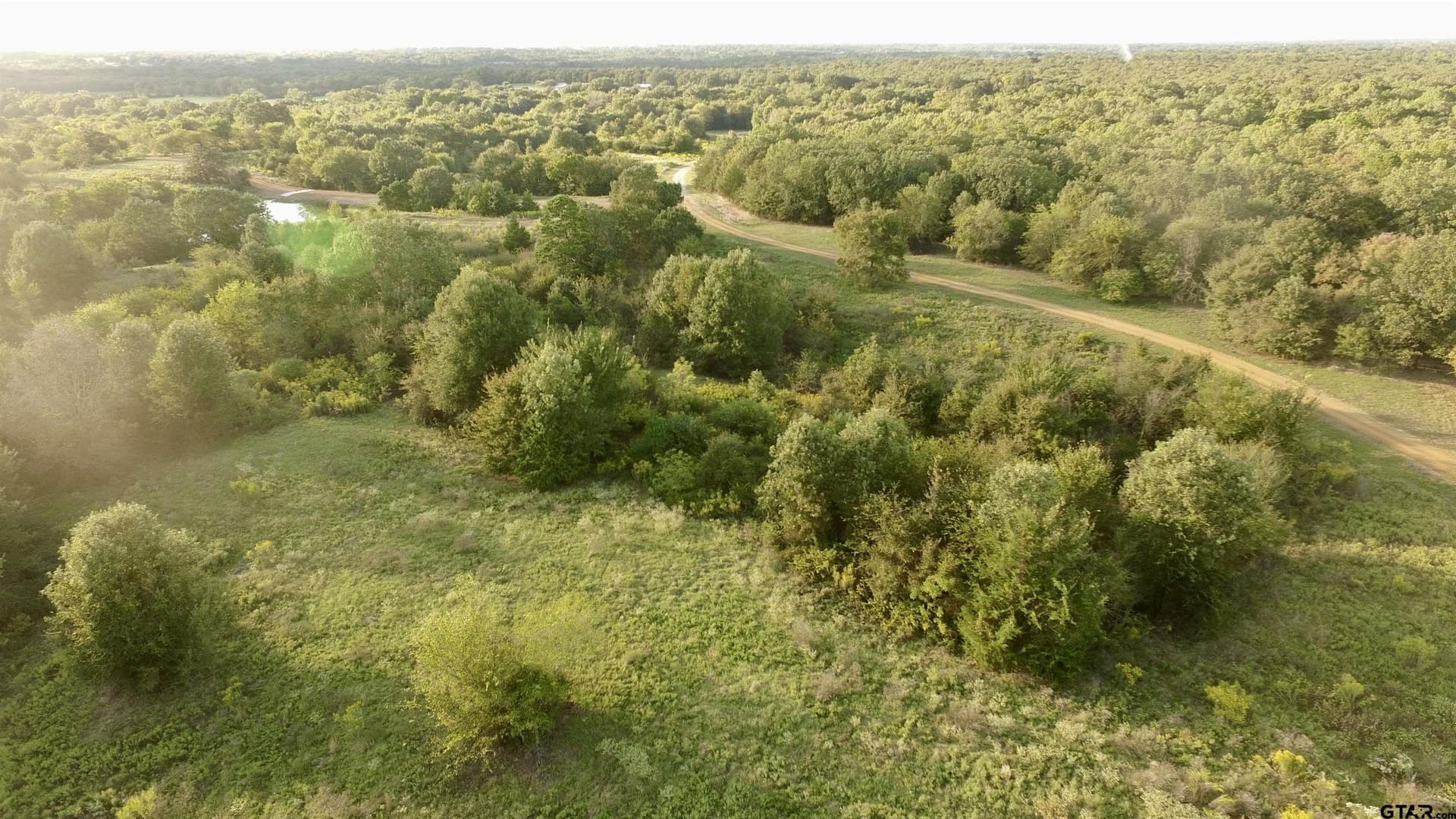 10.09 acres in Titus County - photo 4