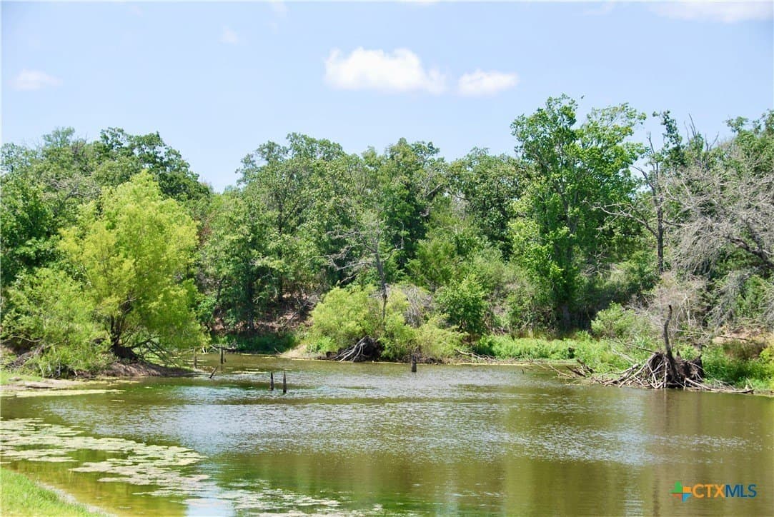 368 acres in Gonzales County - photo 5
