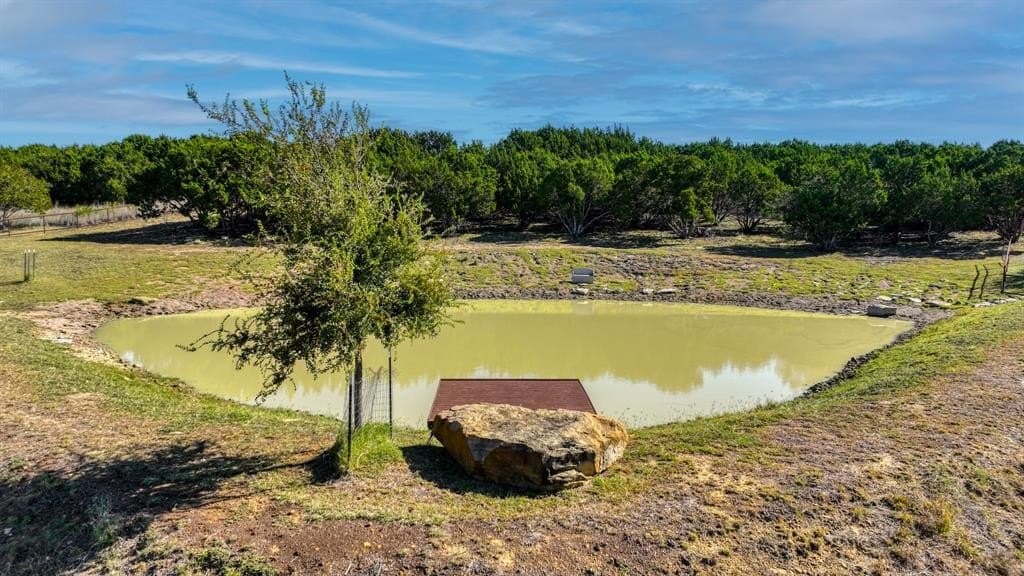 13.1 acres in Palo Pinto County - photo 8