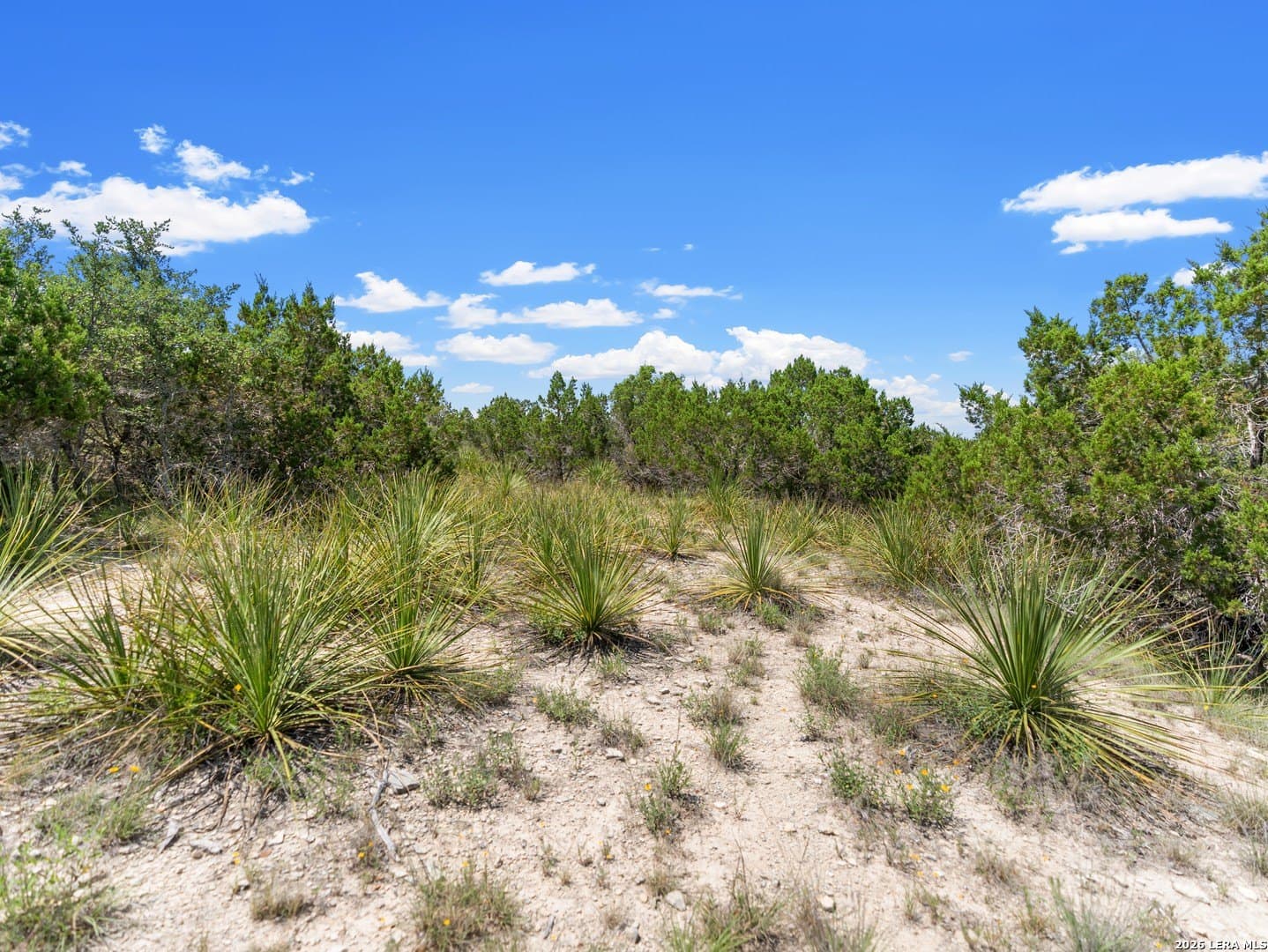 4.48 acres in Comal County - photo 12