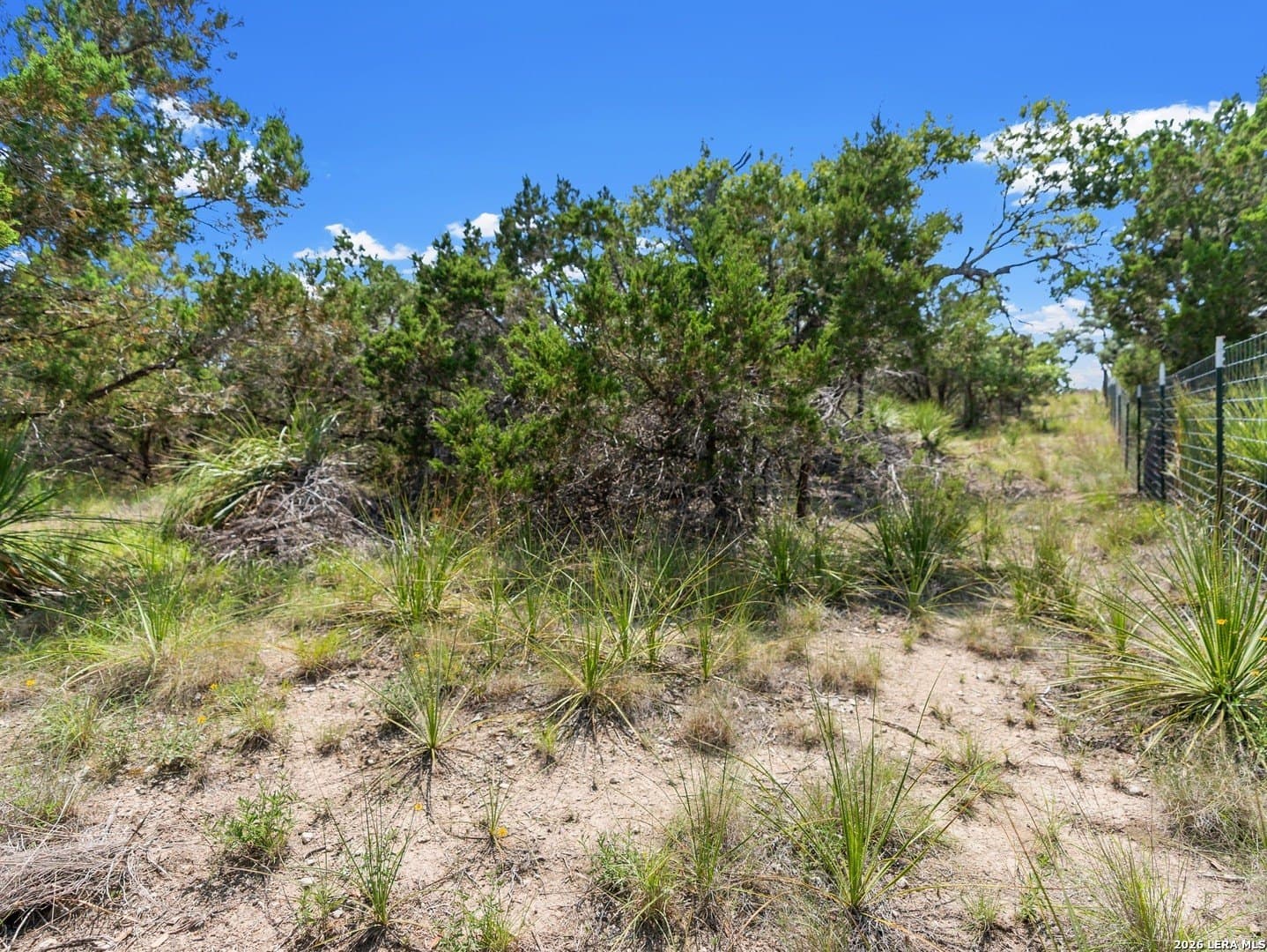 4.48 acres in Comal County - photo 5