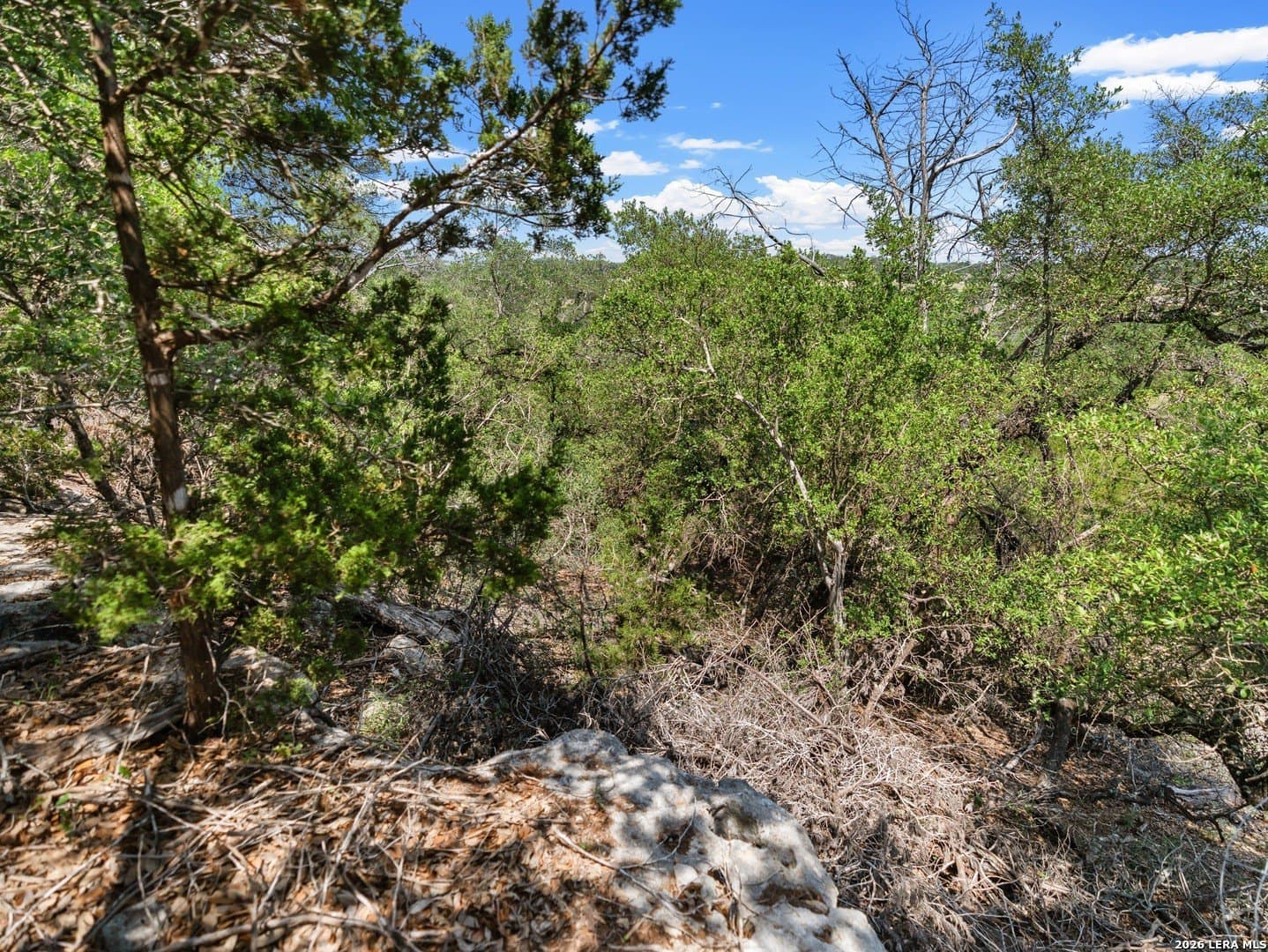 4.48 acres in Comal County - photo 8