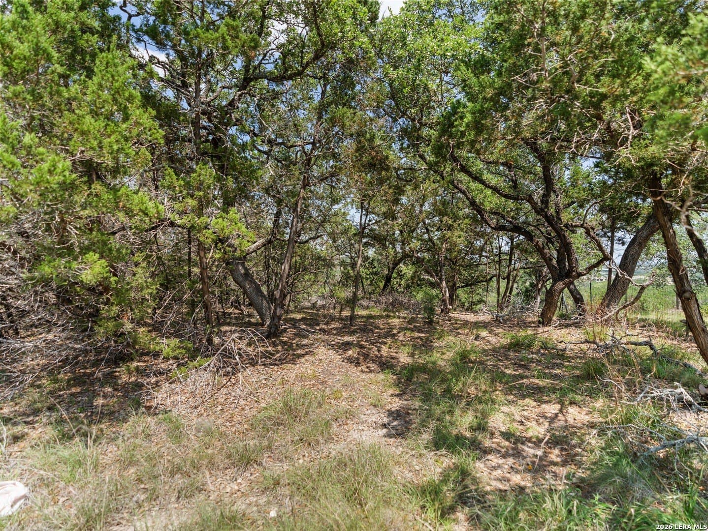 4.48 acres in Comal County - photo 9