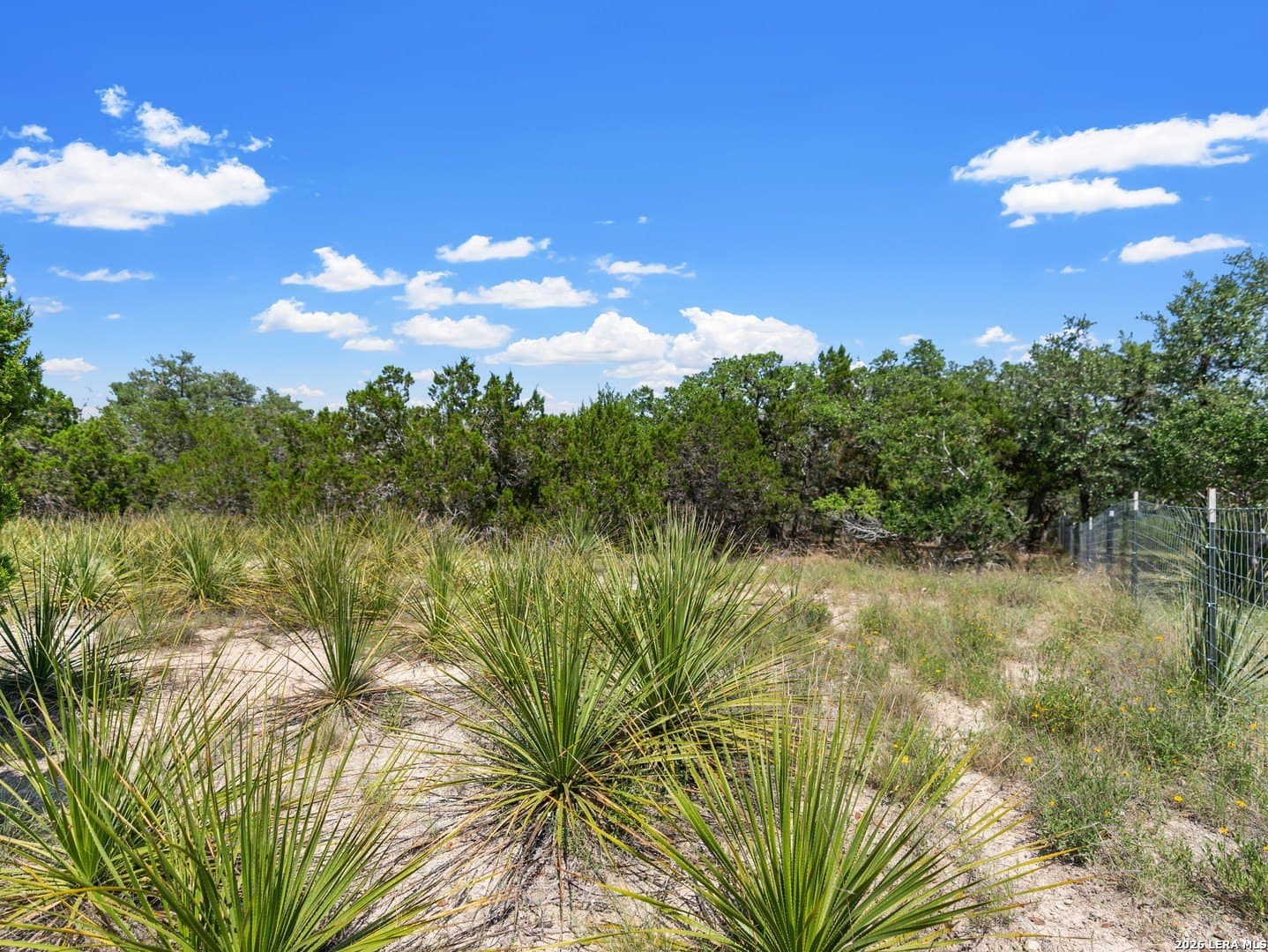 4.48 acres in Comal County - photo 14