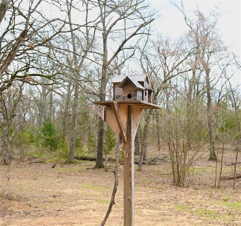23.19 acres in Fannin County - photo 4