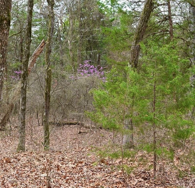 23.19 acres in Fannin County - photo 6