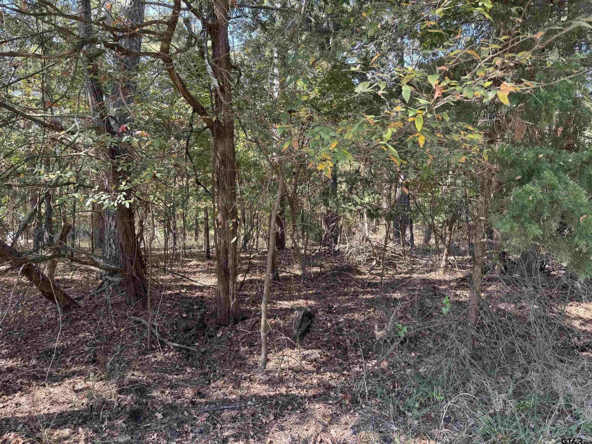 Lot 69 Kings Lake