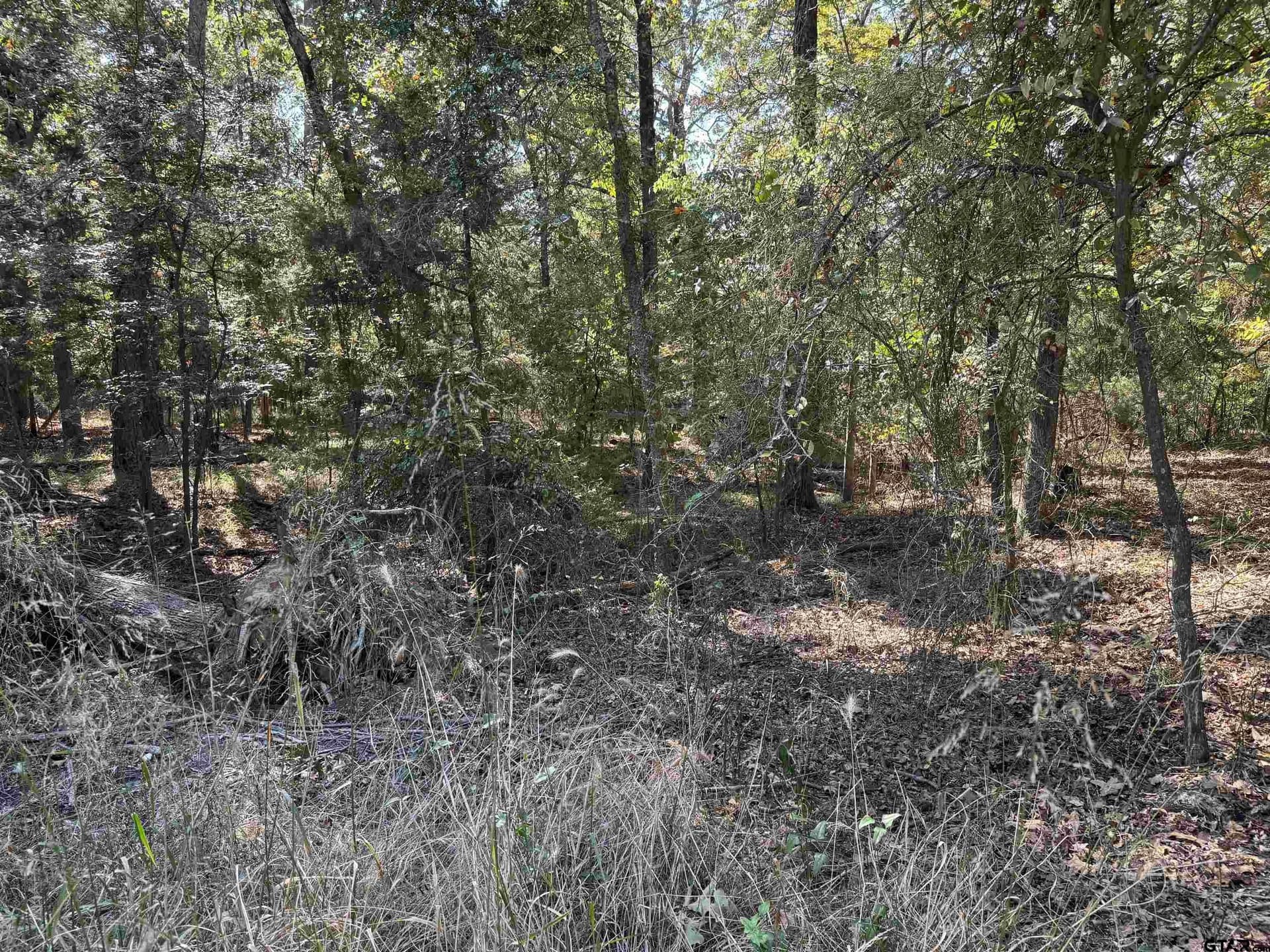 0.22 acres in Franklin County - photo 2