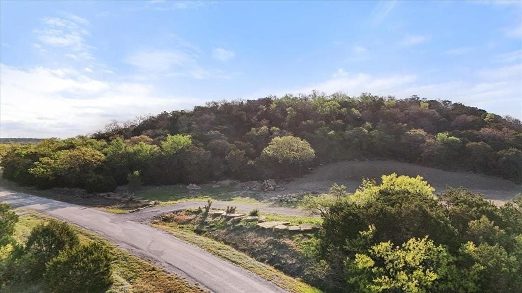2.57 acres in Palo Pinto County - photo 3