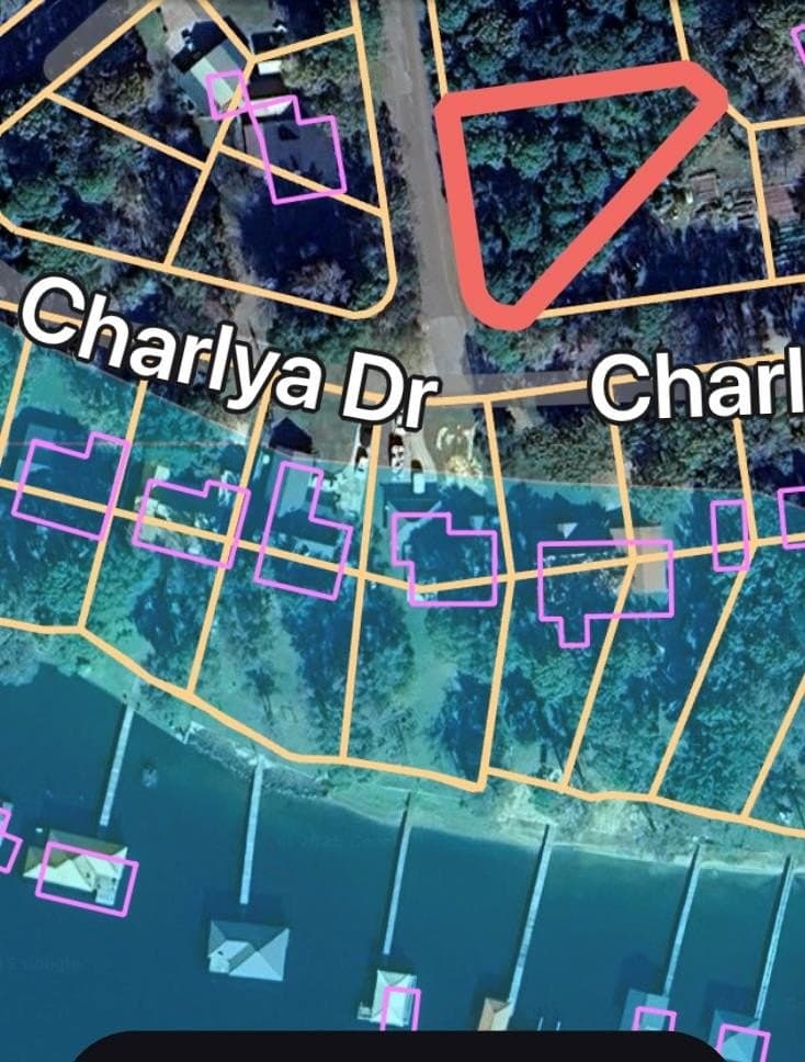 501 Charlya
