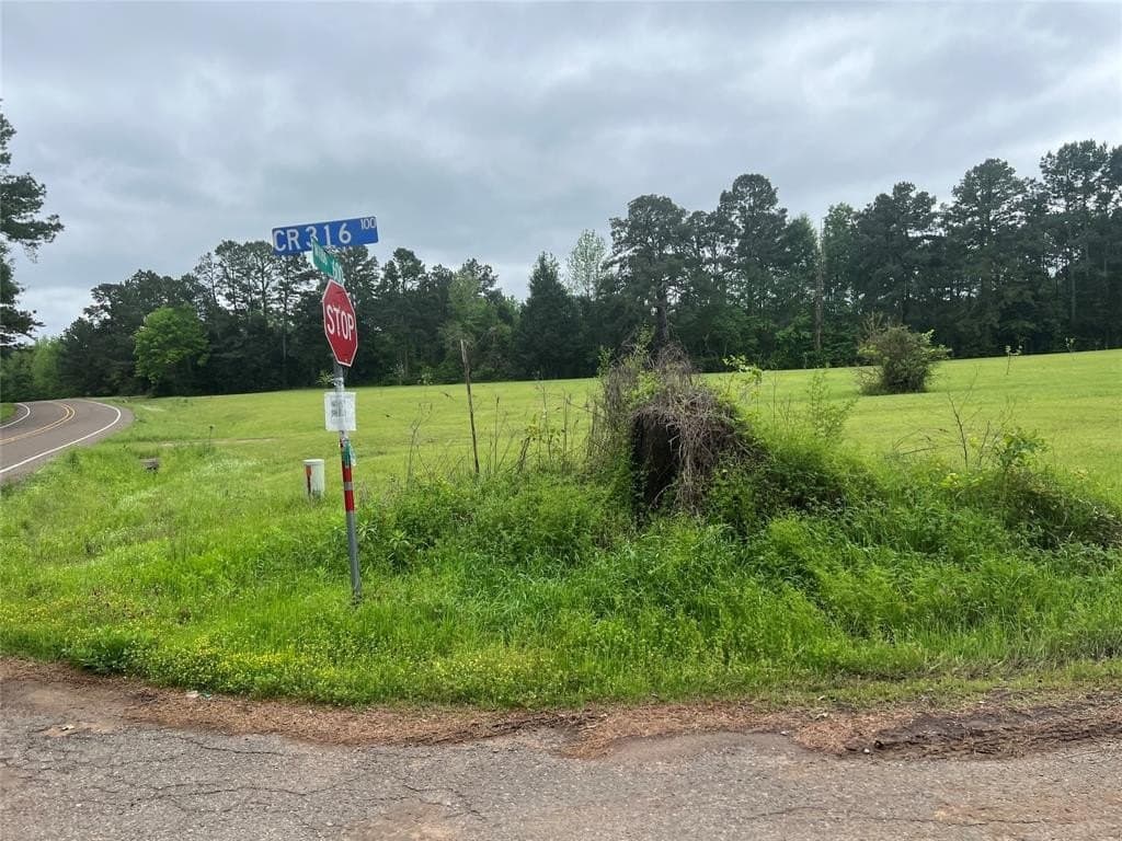 13.5 acres in Panola County - photo 5