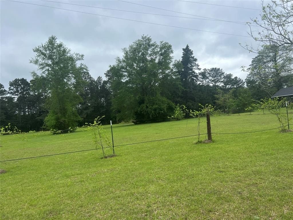 13.5 acres in Panola County - photo 3