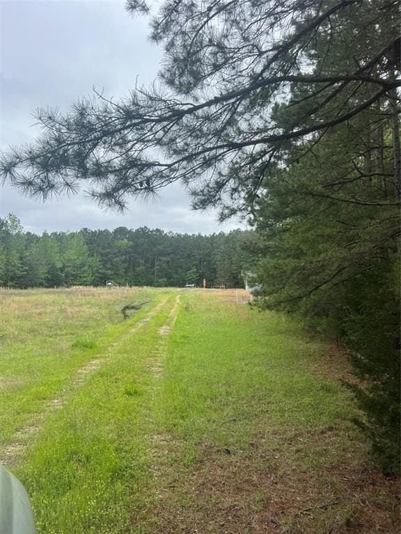 13.5 acres in Panola County - photo 11