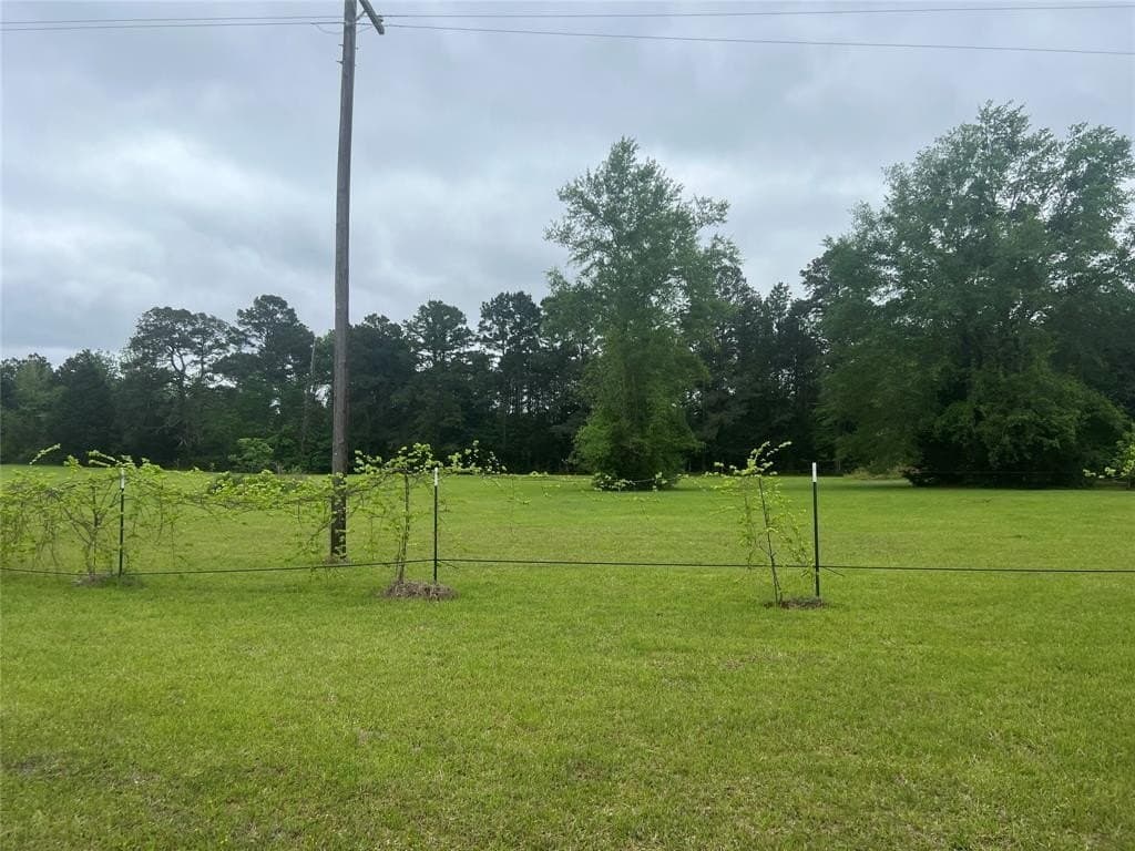 13.5 acres in Panola County - photo 4