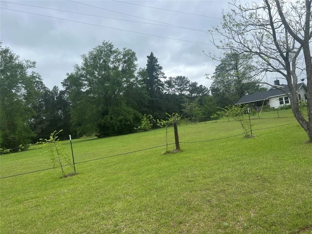 13.5 acres in Panola County - photo 6