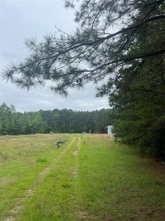 13.5 acres in Panola County - photo 9