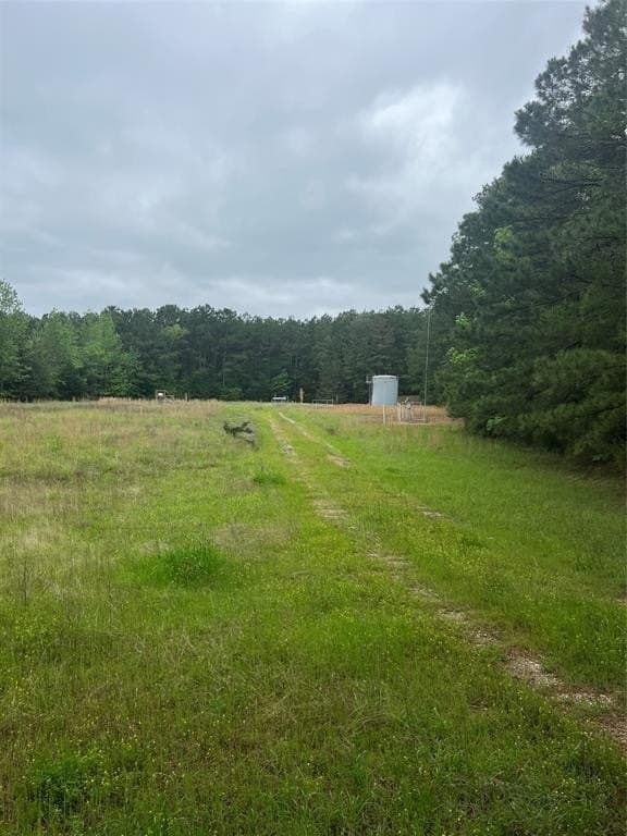 13.5 acres in Panola County - photo 10
