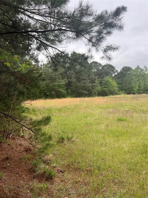 13.5 acres in Panola County - photo 13