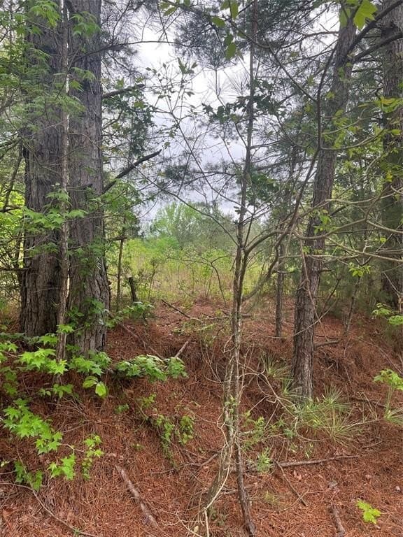 13.5 acres in Panola County - photo 14