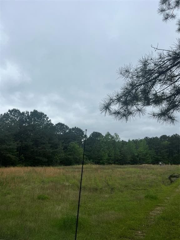 13.5 acres in Panola County - photo 8