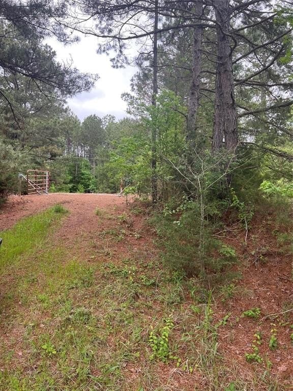 13.5 acres in Panola County - photo 15
