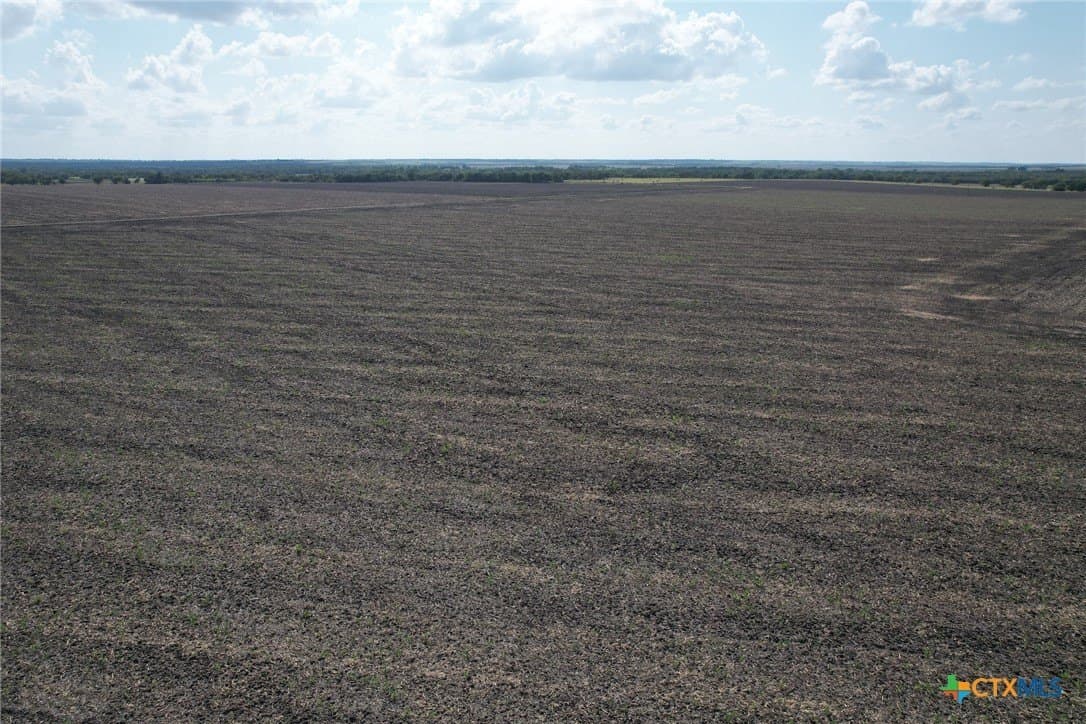 630.14 acres in Milam County - photo 7