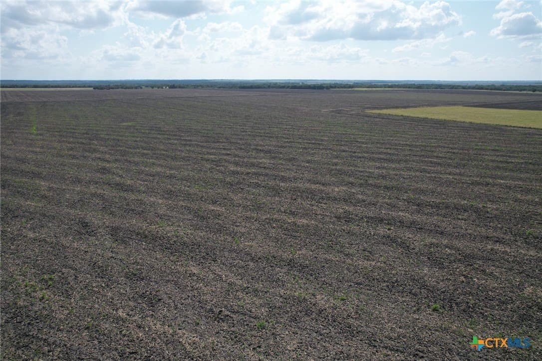 630.14 acres in Milam County - photo 4