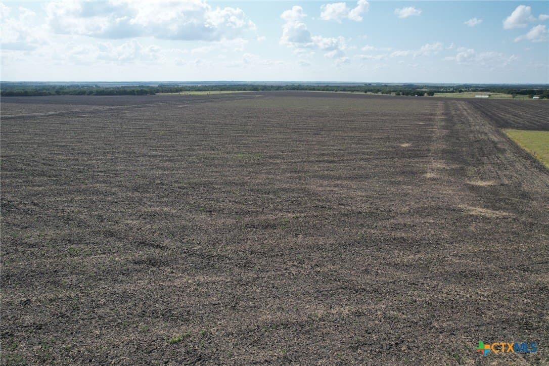 630.14 acres in Milam County - photo 8