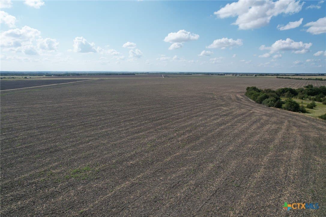 630.14 acres in Milam County - photo 16