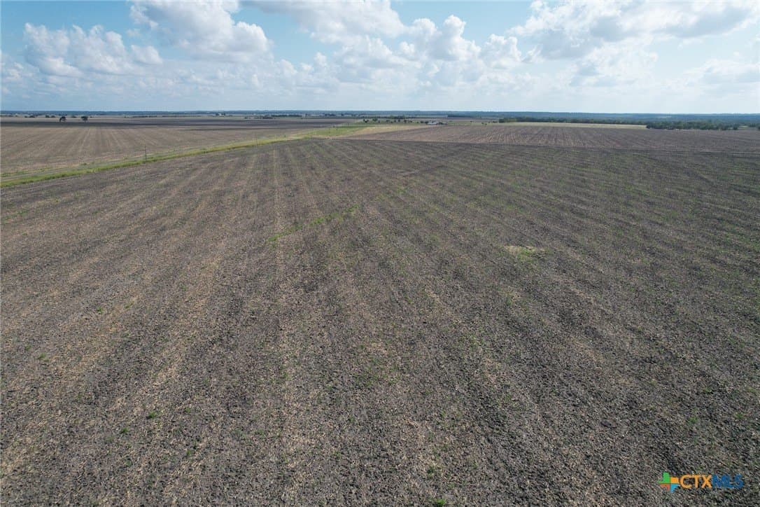 630.14 acres in Milam County - photo 6