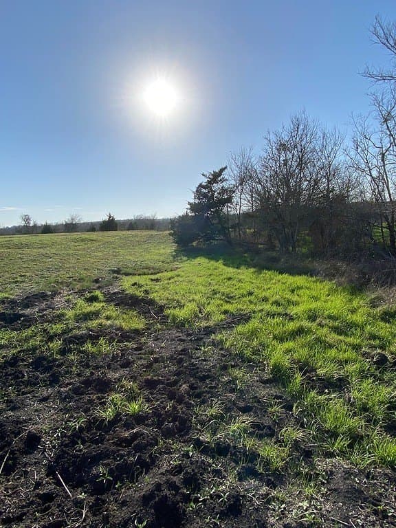 6 acres in Fayette County - photo 4
