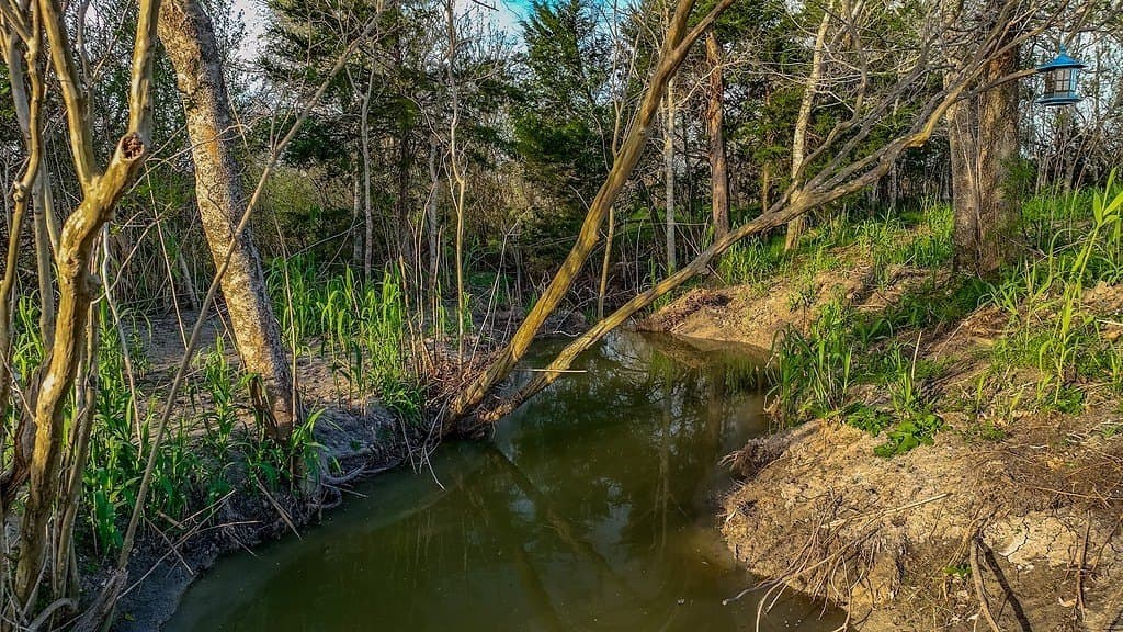 6 acres in Fayette County - photo 5