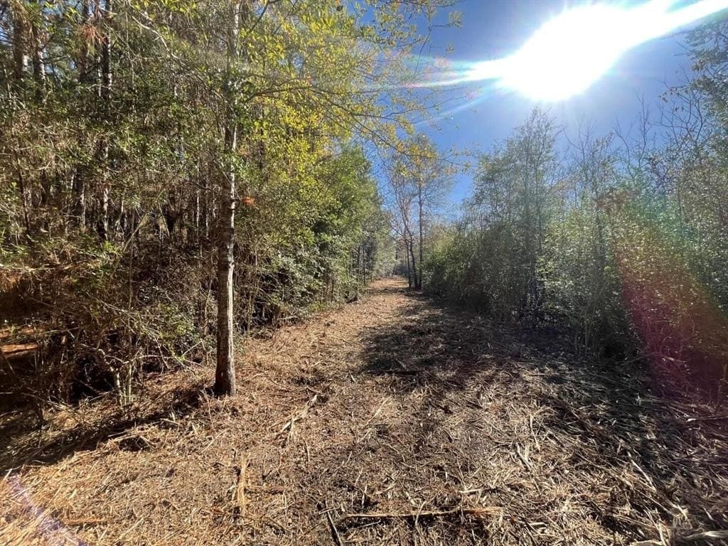 6.64 acres in Polk County - photo 7