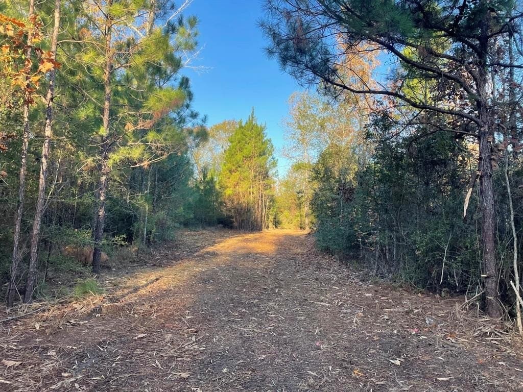 6.64 acres in Polk County - photo 24