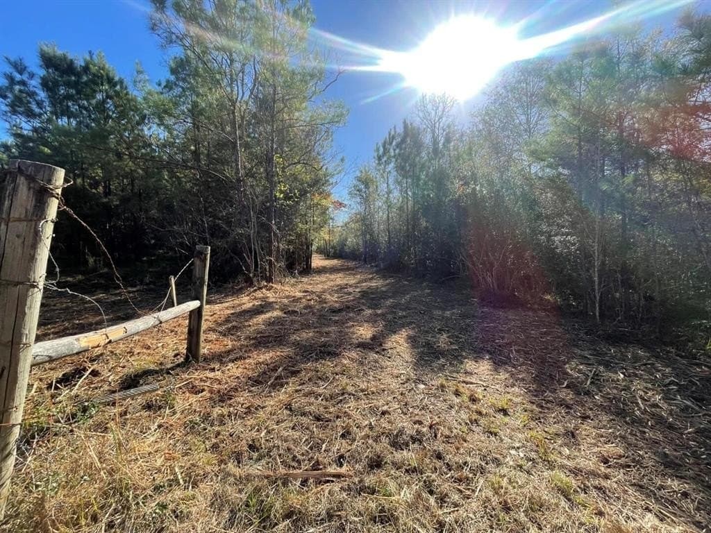 6.64 acres in Polk County - photo 6