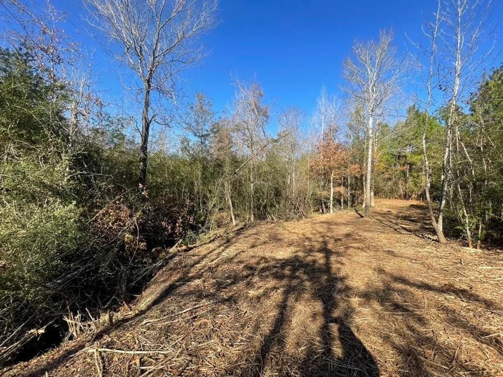 6.64 acres in Polk County - photo 10