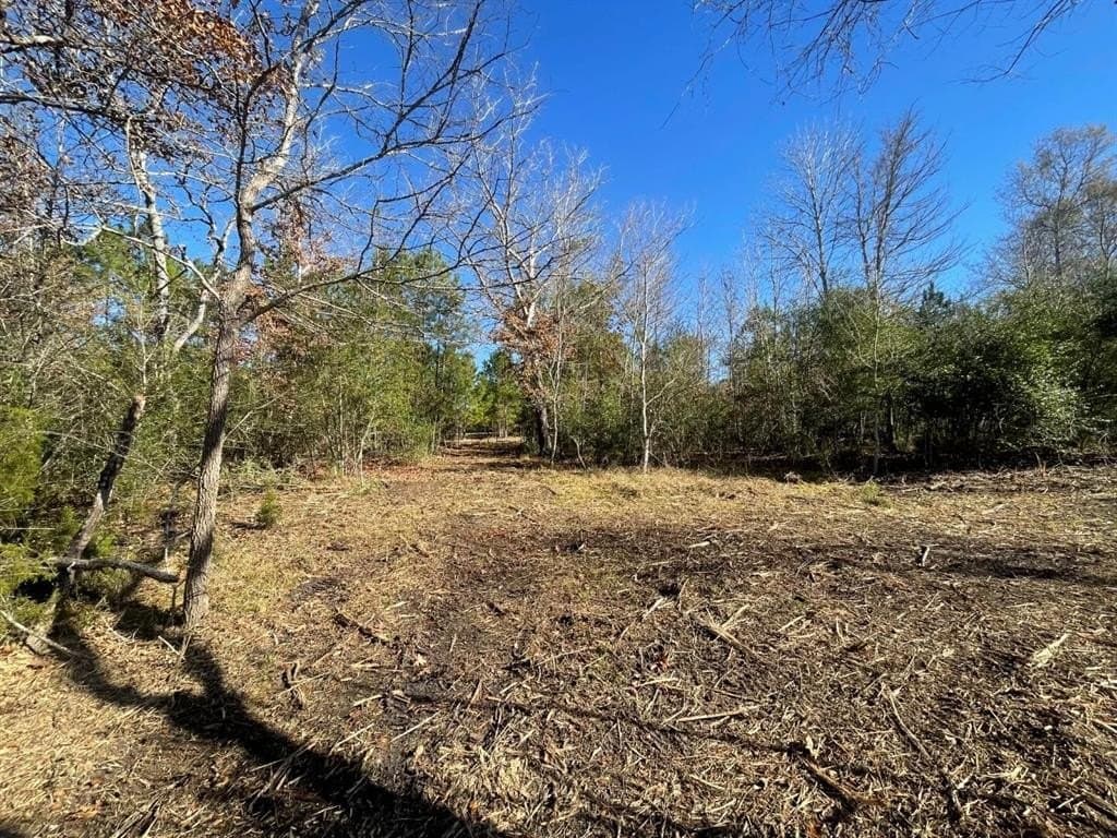 6.64 acres in Polk County - photo 12