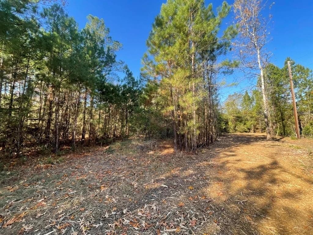 6.64 acres in Polk County - photo 20