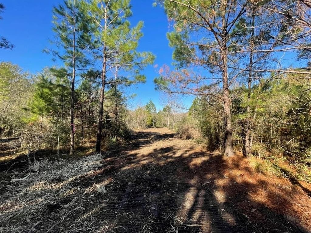 6.64 acres in Polk County - photo 17