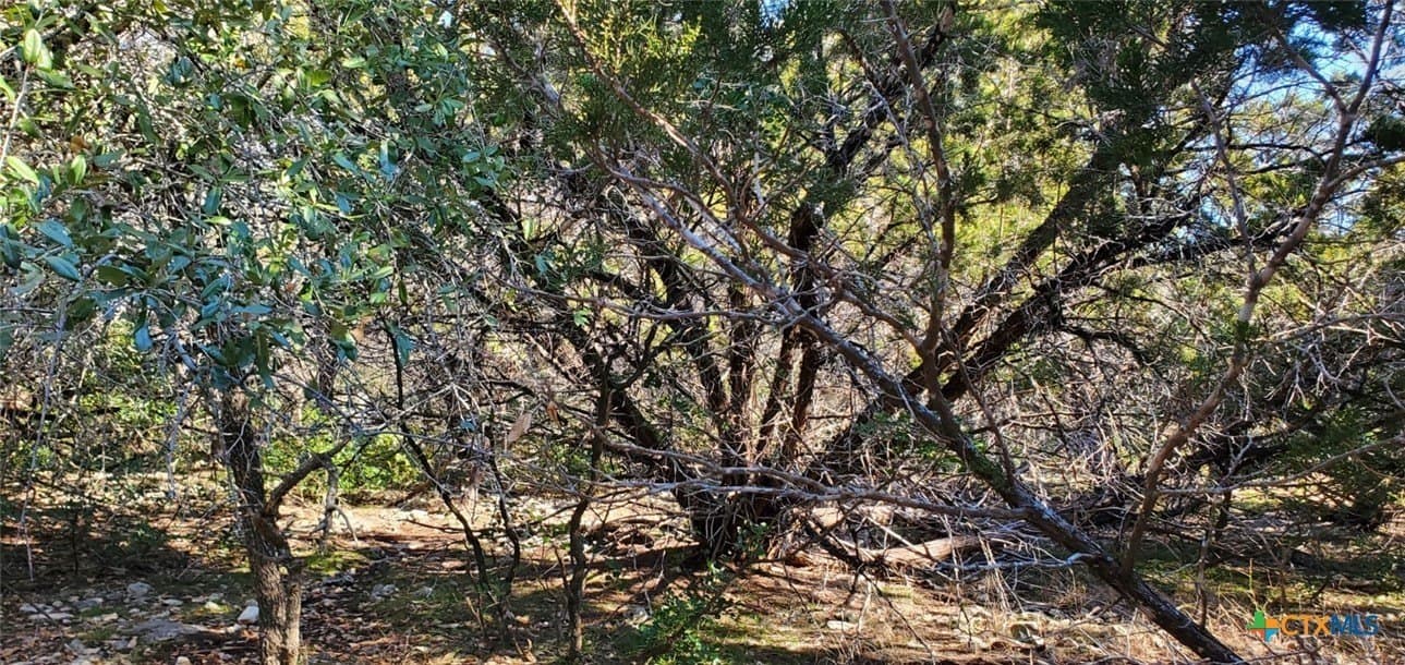 0.39 acres in Bell County - photo 12