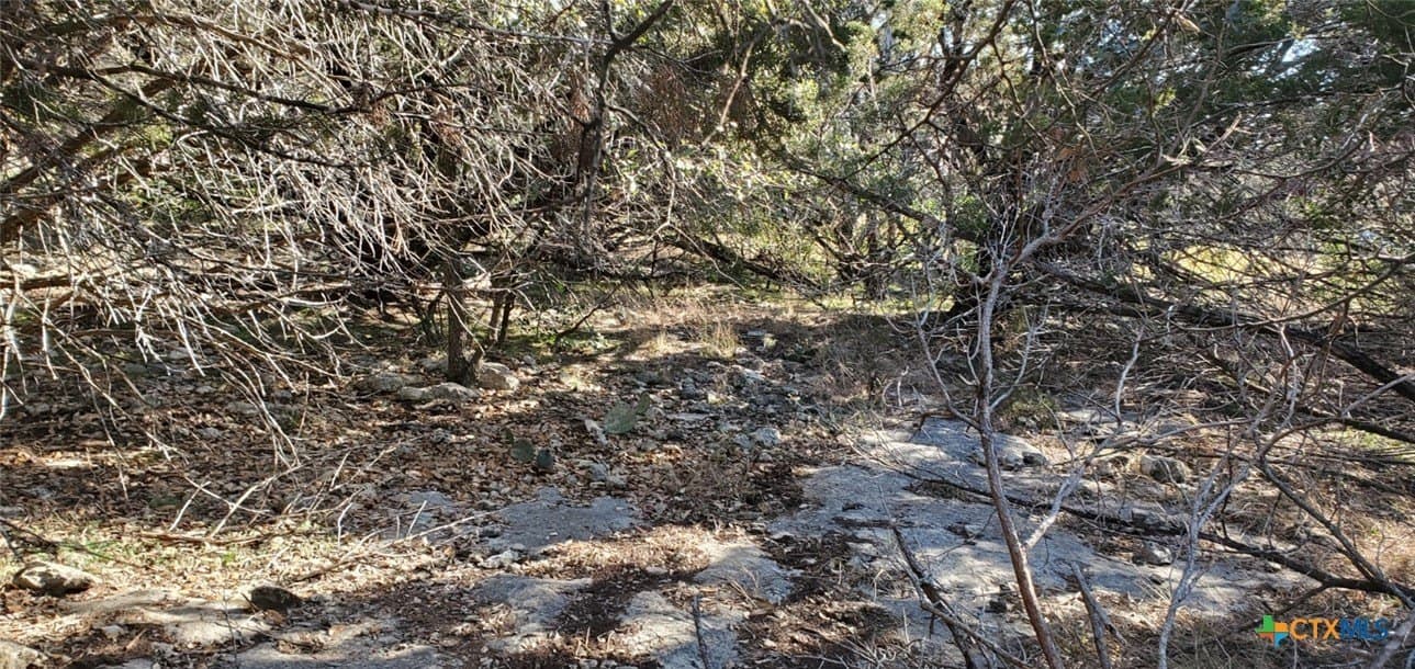 0.39 acres in Bell County - photo 13